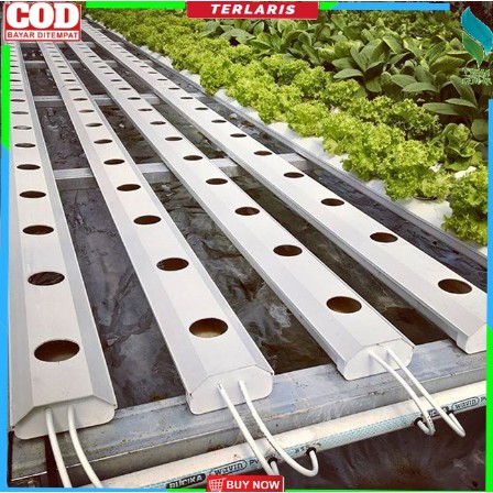 Hidroponik Talang Air Pvc