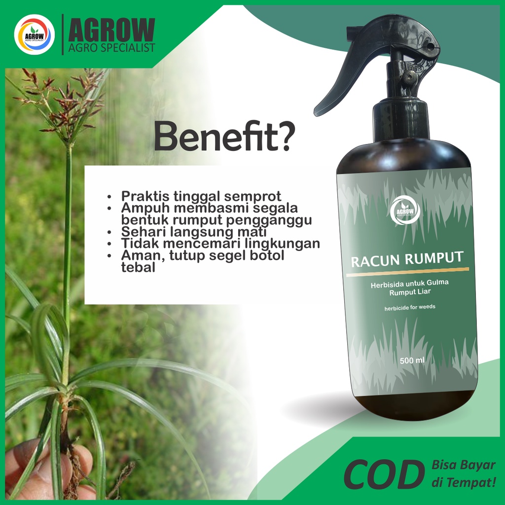 Jual Racun Rumput Liar, Ilalang, Gulma Siap Pakai Herbisida Mati Kering ...