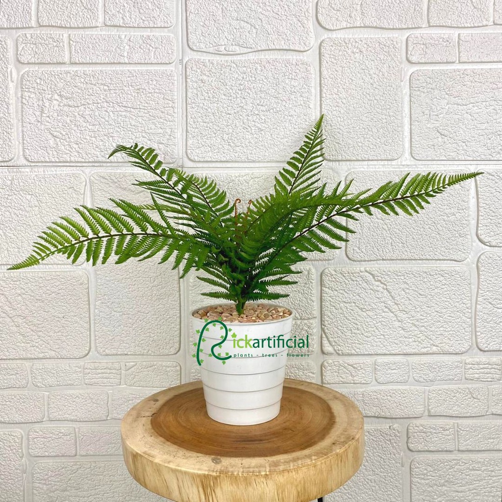 Jual Tanaman Hias Plastik Daun Pakis Boston Group Latex Artificial Pot ...