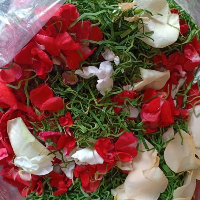 Jual Bunga 7 Rupa Segar Asli | Shopee Indonesia