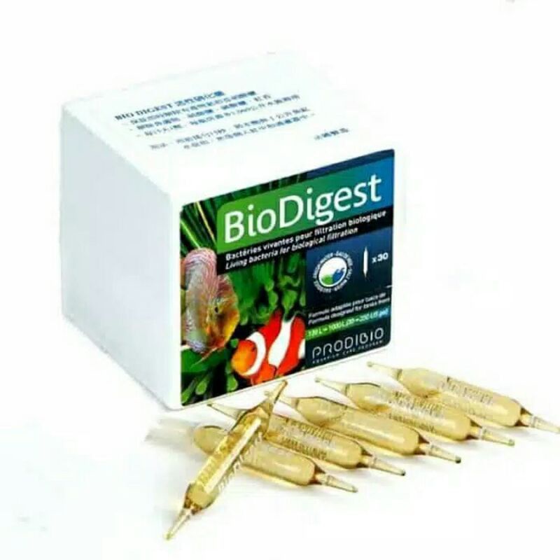 Jual BioDigest Prodibio 1 vial ampul Living Bacteri stater | Shopee ...