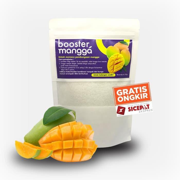 Jual PUPUK BOOSTER MANGGA PUPUK MANGGA PUPUK BUAH MANGGA 100% AMPUH ...