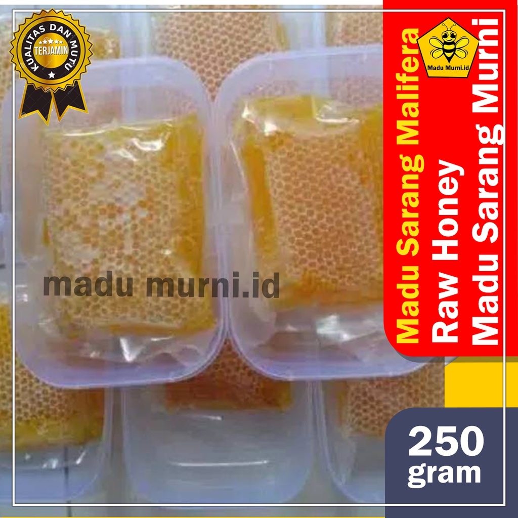 Jual Sarang Madu Malifera Madu Sarang Asli Murni Hutan Per Box 250gr