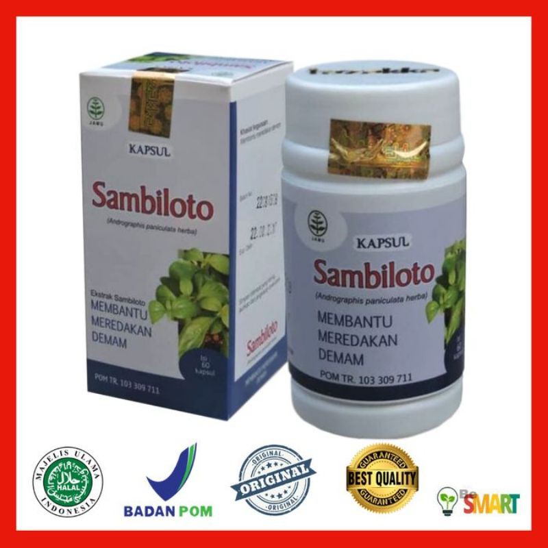 Mengoptimalkan Daya Tahan Tubuh dengan Obat Herbal Alami: Panduan Lengkap Menuju Kesehatan yang Prima