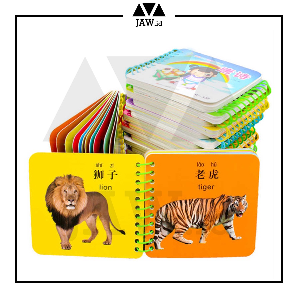 Boardbook vs Flashcard: Mana yang Lebih Bagus untuk Usia 2 Tahun? (Versi 2)