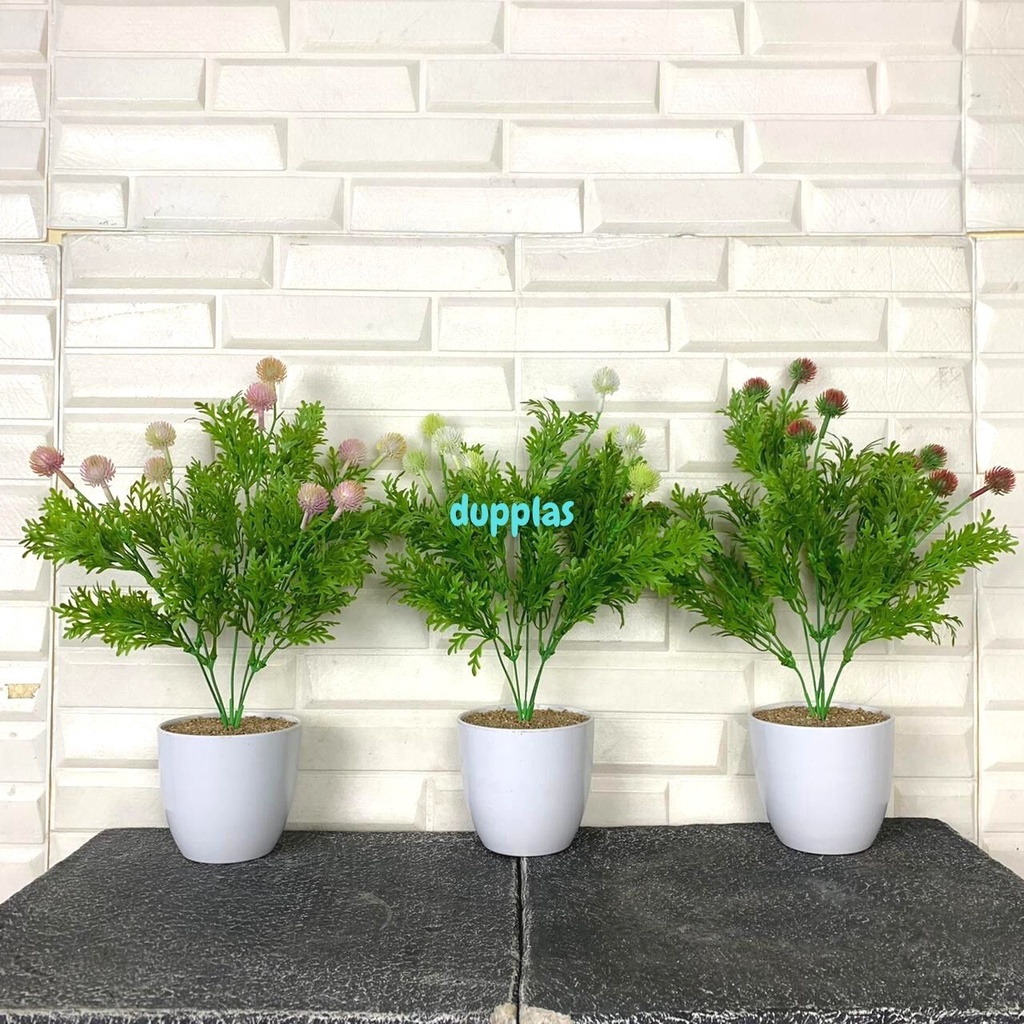 Jual Tanaman Hias Buah Rambutan Cengkeh Pompom Artificial Pot Melamine ...