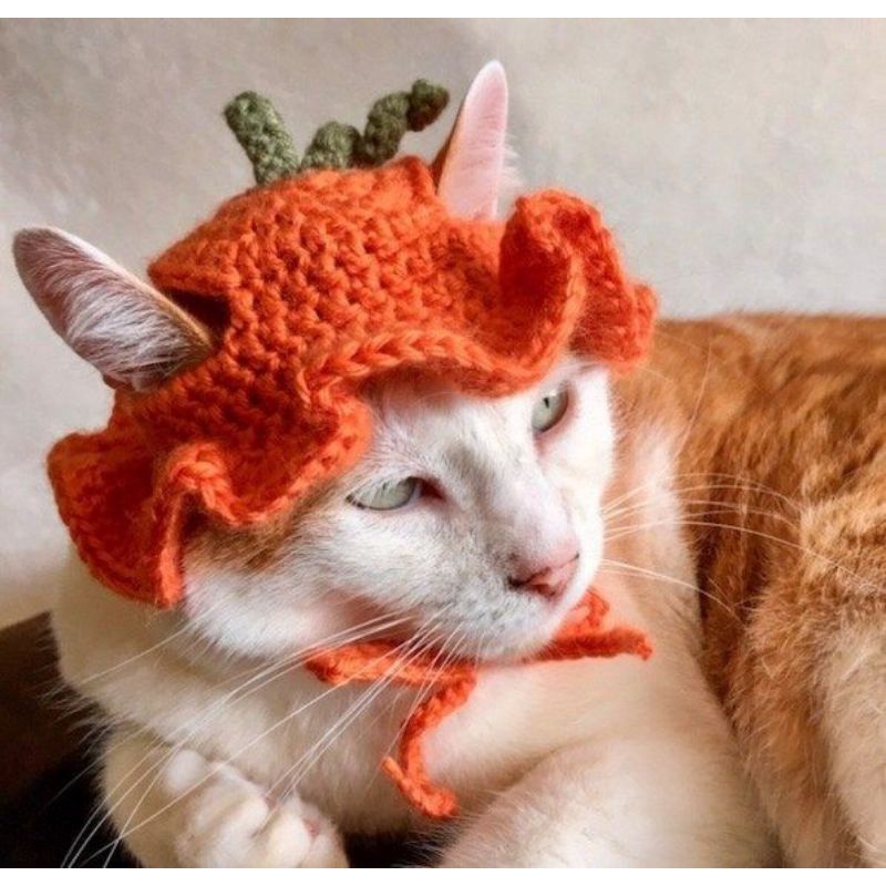 Jual Topi Kucing Rajut (custom) | Shopee Indonesia