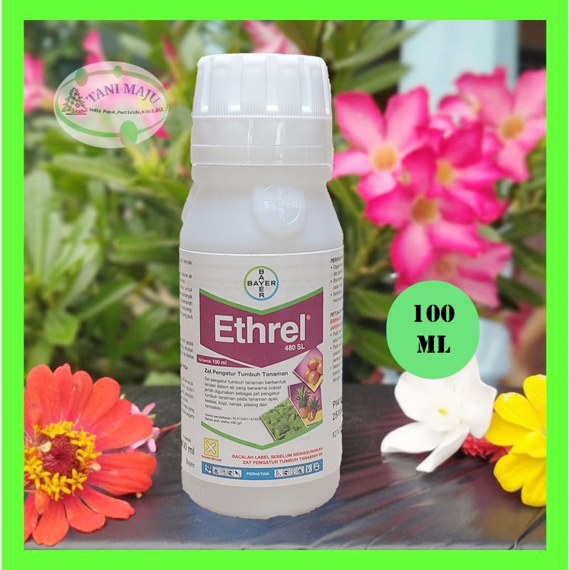 Jual ETHREL / OBAT PEMATANG BUAH / OBAT PEMATANG PISANG | Shopee Indonesia