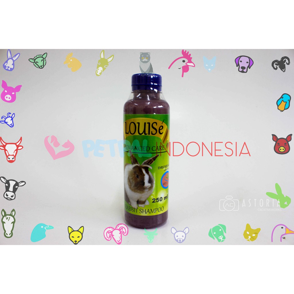 Jual LOUISe ADVANCED CARE RABBIT SHAMPOO 250 ml Shopee Indonesia