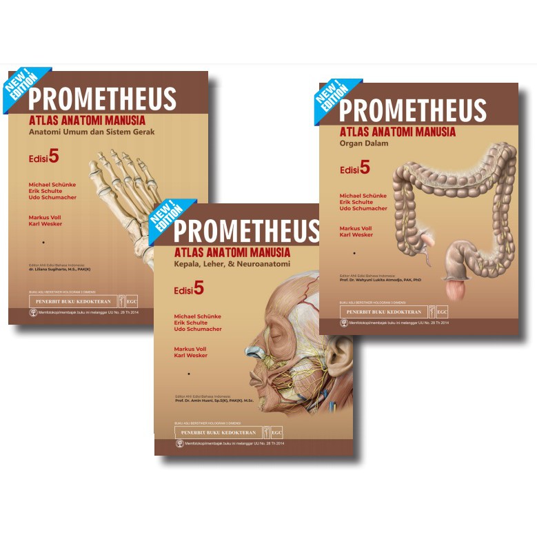 Jual Original Atlas Anatomi PROMETHEUS SET Ed. 5 | Shopee Indonesia