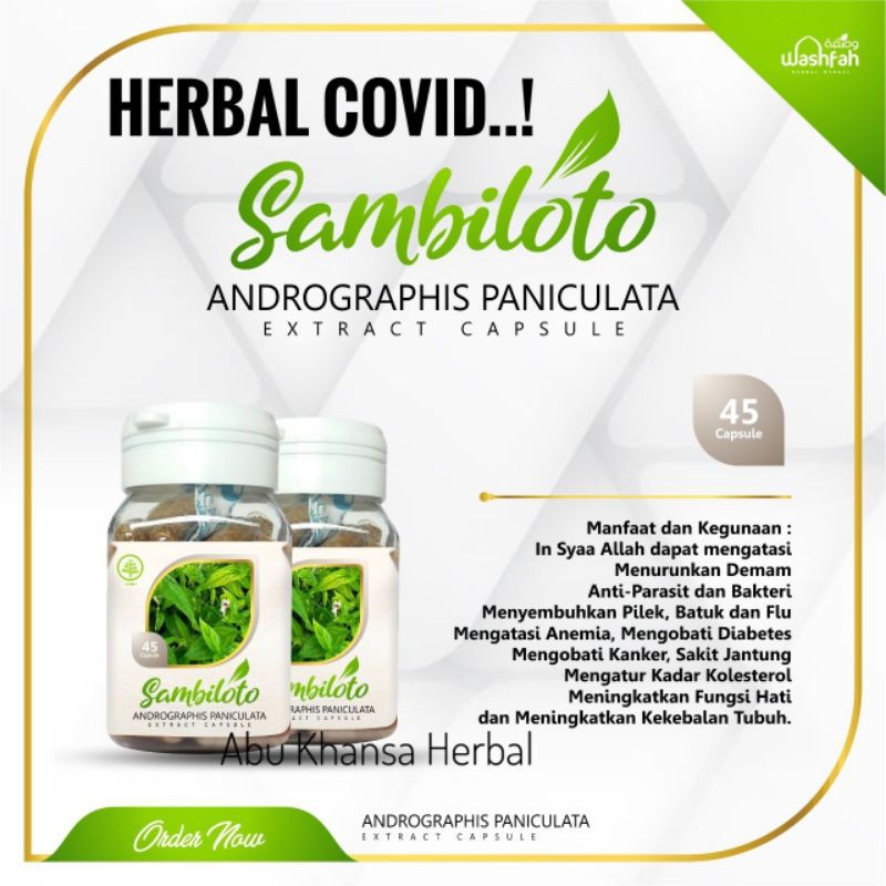 Jual SAMBILOTO Kapsul Daun Herbal Anti Virus Bakteri Radang Paru ...