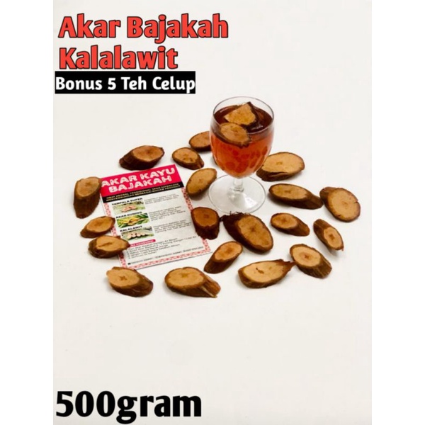 Jual Akar Bajakah Kalalawit Bajakah Kalalawit 1kg Shopee Indonesia 0206