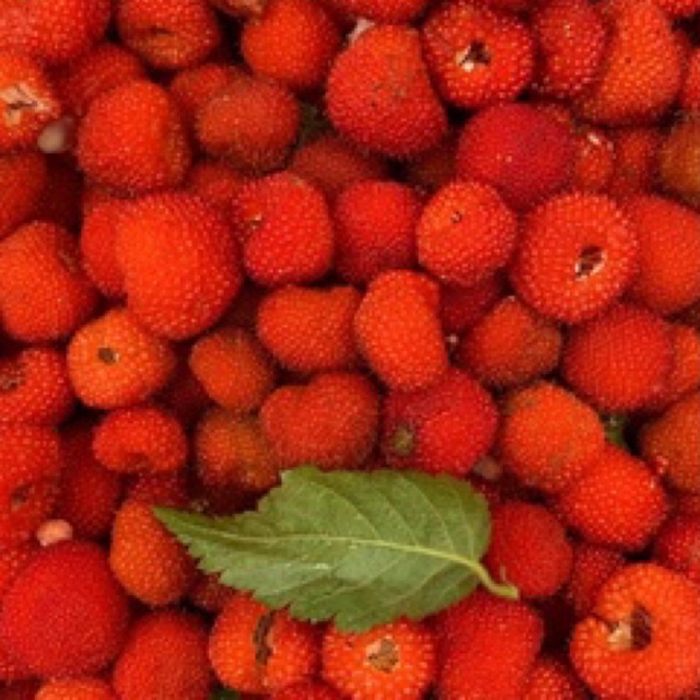 Jual Frozen Raspberry (Raspberi Beku) | Shopee Indonesia