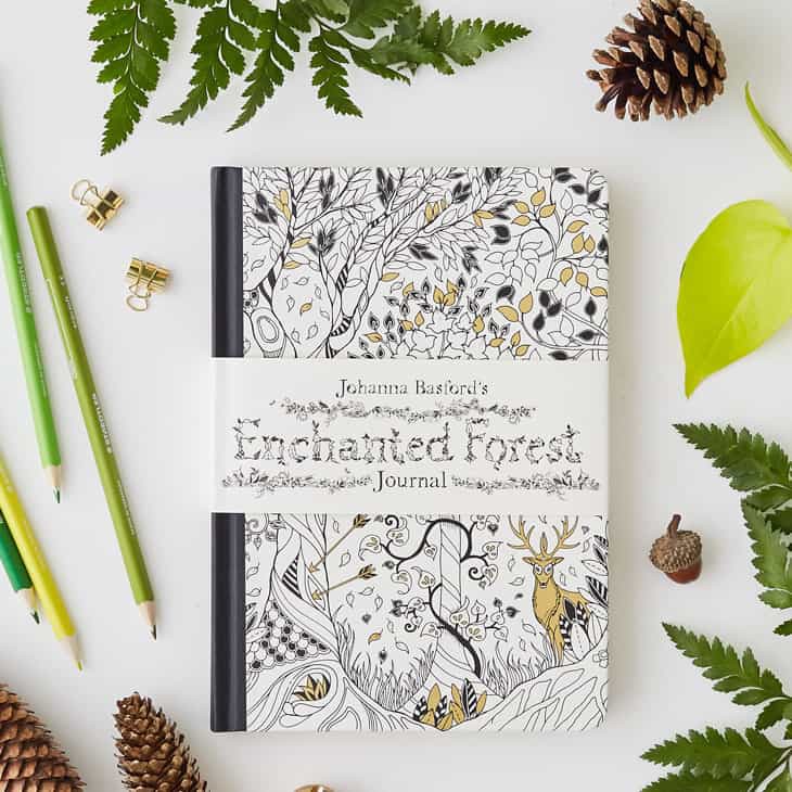 Jual Journal Enchanted Forest by Johanna Basford Original Jurnal