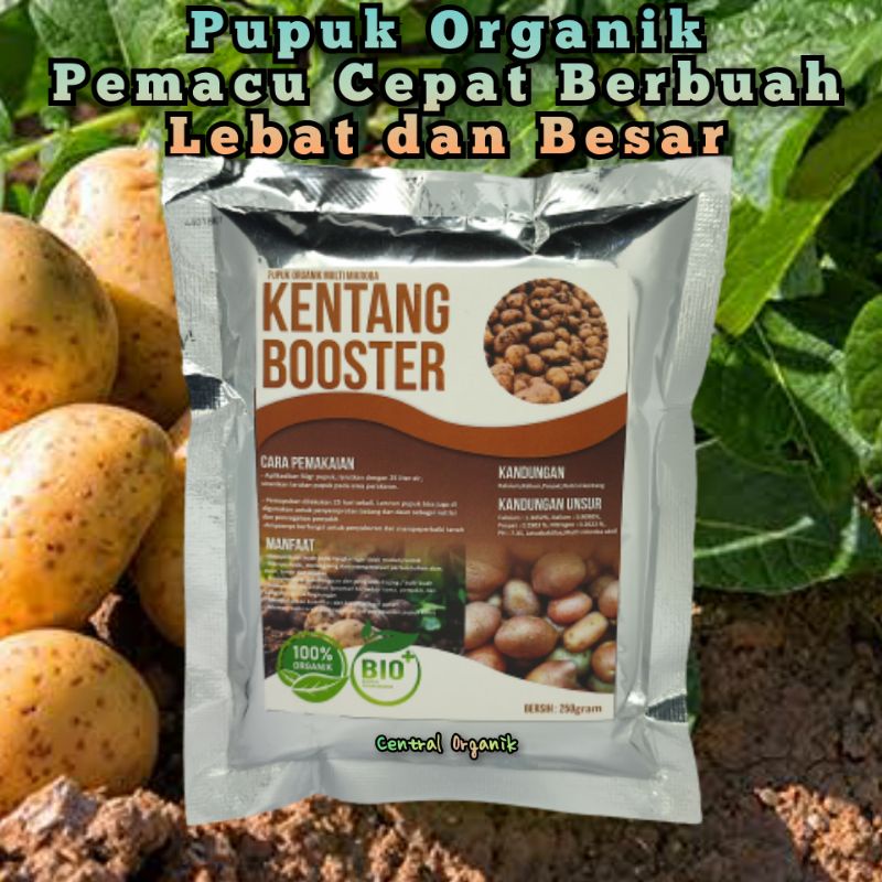 Pupuk Organik Umbi Kentang Pupuk Kentang Cepat Besar Pupuk Pelebat Umbi Kentang Pupuk Penyubur Tanaman Kentang Pupuk Booster Tanaman Kentang