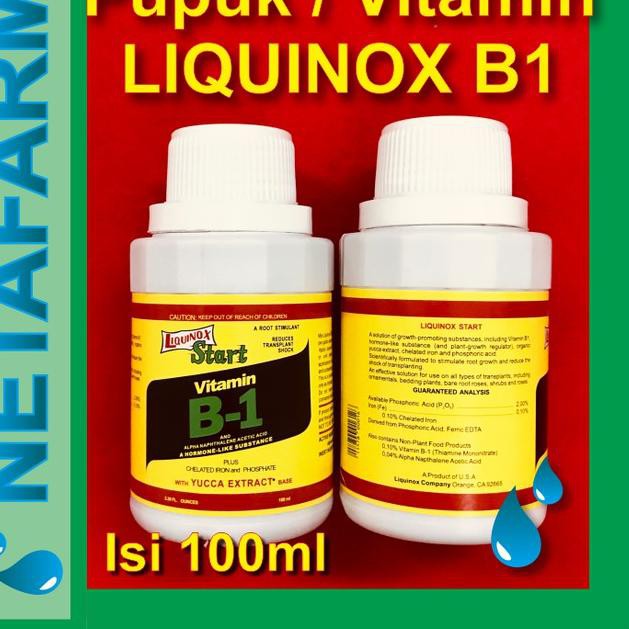 Jual [DISC NO FREE] PUPUK VITAMIN B1 - LIQUINOX B1 Isi 100ml | Shopee ...