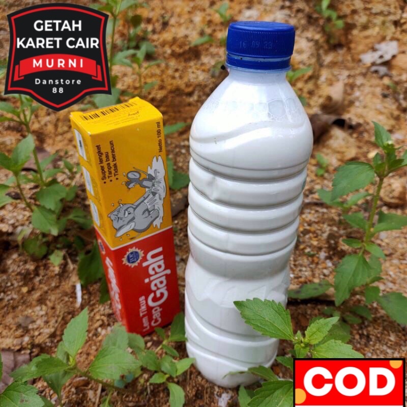 Jual Getah karet cair murni 600ml bundle lem tikus cap gajah (100%ASLI ...