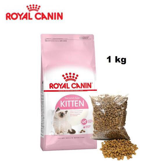 Perbedaan royal canin 2025 kitten 32 dan 36