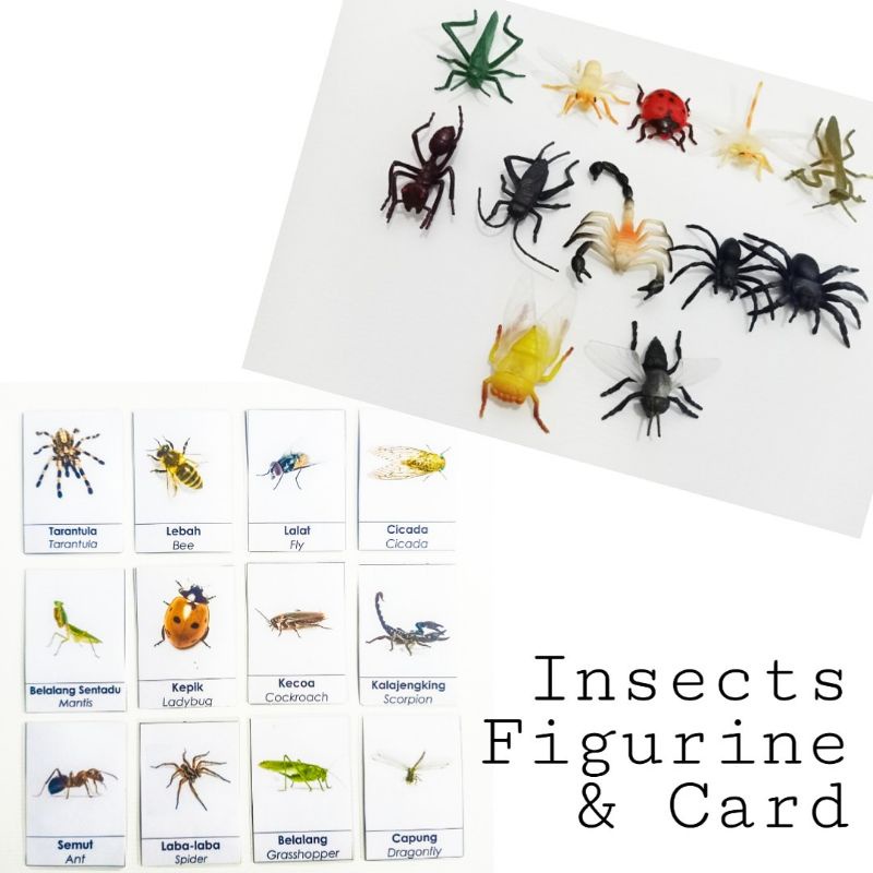 Jual FIGURIN INSECT + CARD | Shopee Indonesia