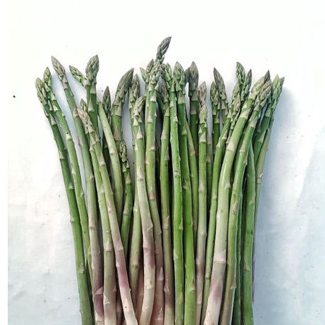 Jual sayur segar asparagus organik rasaki 100gr | Shopee Indonesia
