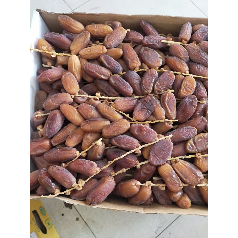 Jual Tunisia Tangkai 500gr | Shopee Indonesia