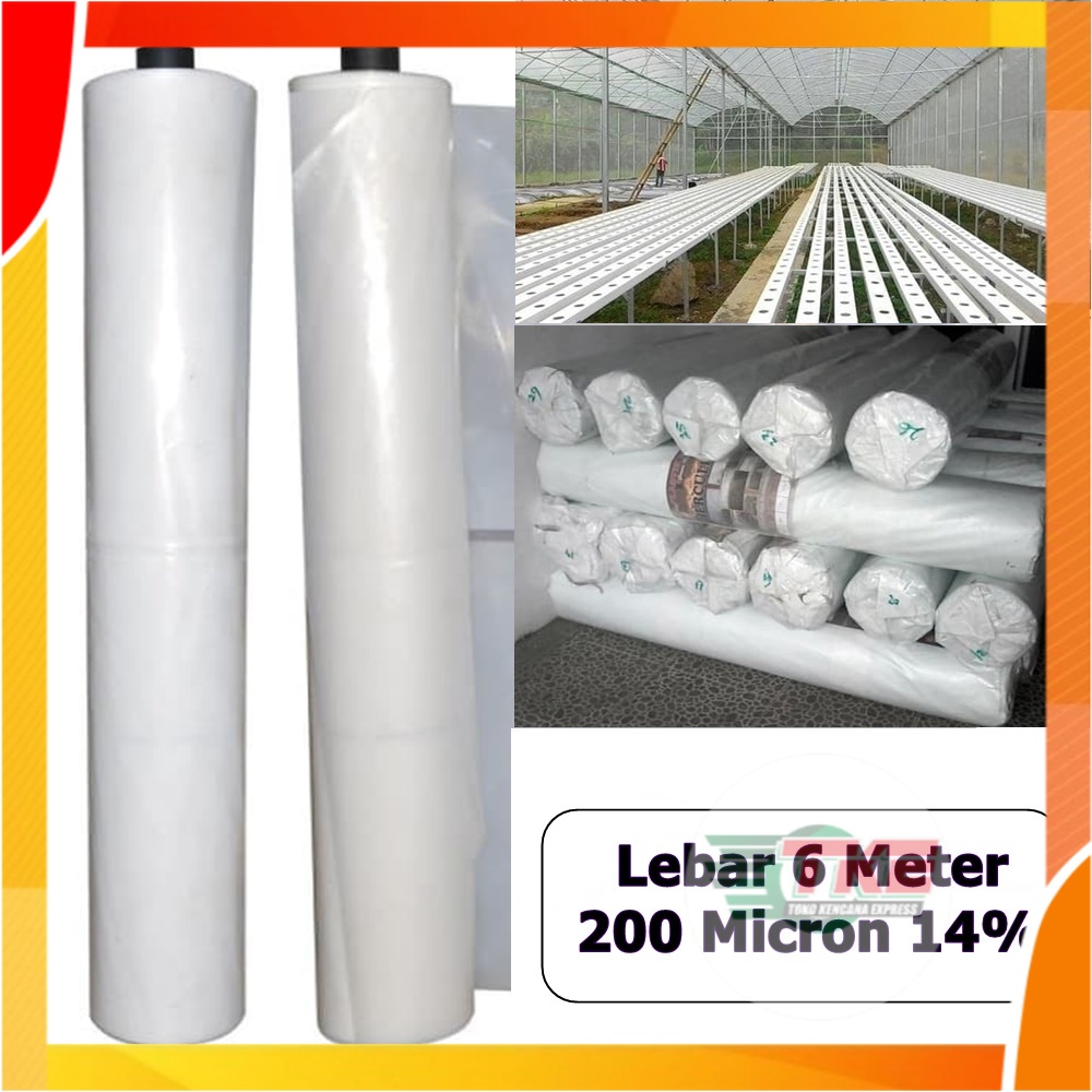 Jual Plastik Uv Green House 200 Micron 14 Panjang 1 Meter X Lebar 6 Meter Shopee Indonesia