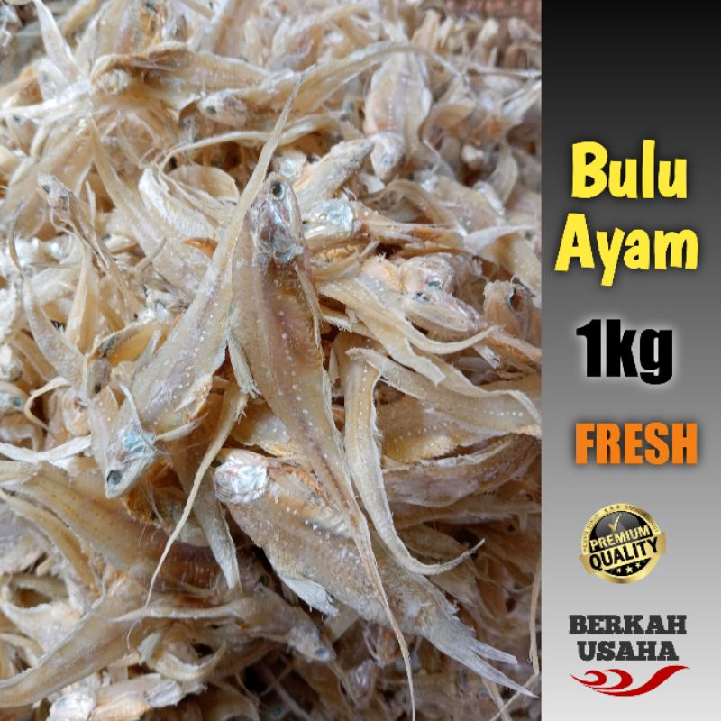 Jual IKAN ASIN BULU AYAM KERING 1kg Murah Grosir | Shopee Indonesia