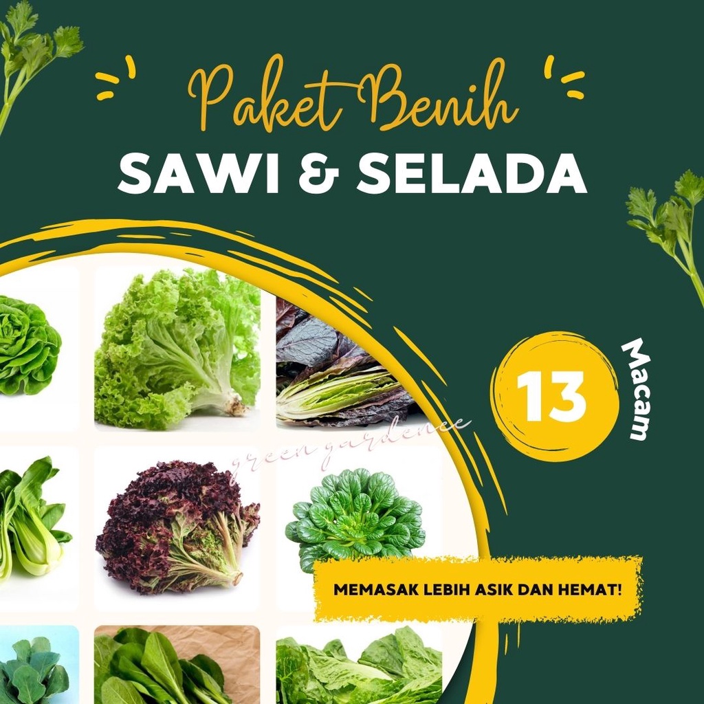 Jual Paket Hemat Benih Biji Bibit Jenis Sayuran Sawi Dan Selada Sawi