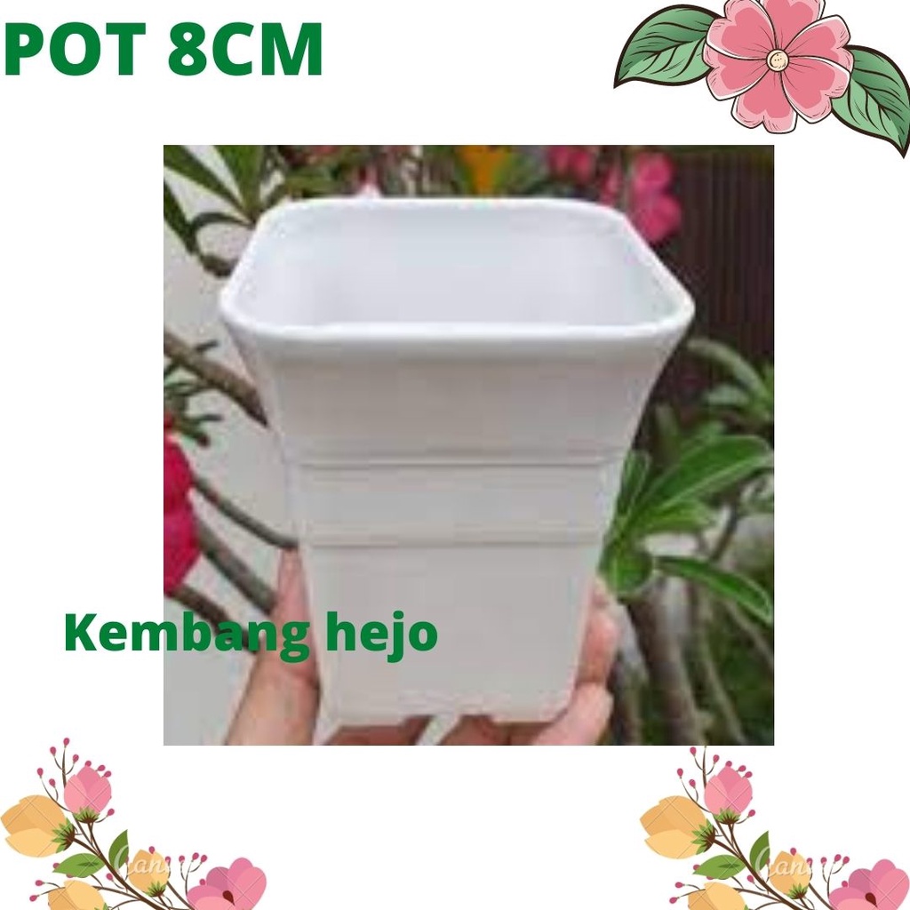 Jual POT BATIK 8CM putih pot bunga kecil kotak tinggi mirip sofi pot ...