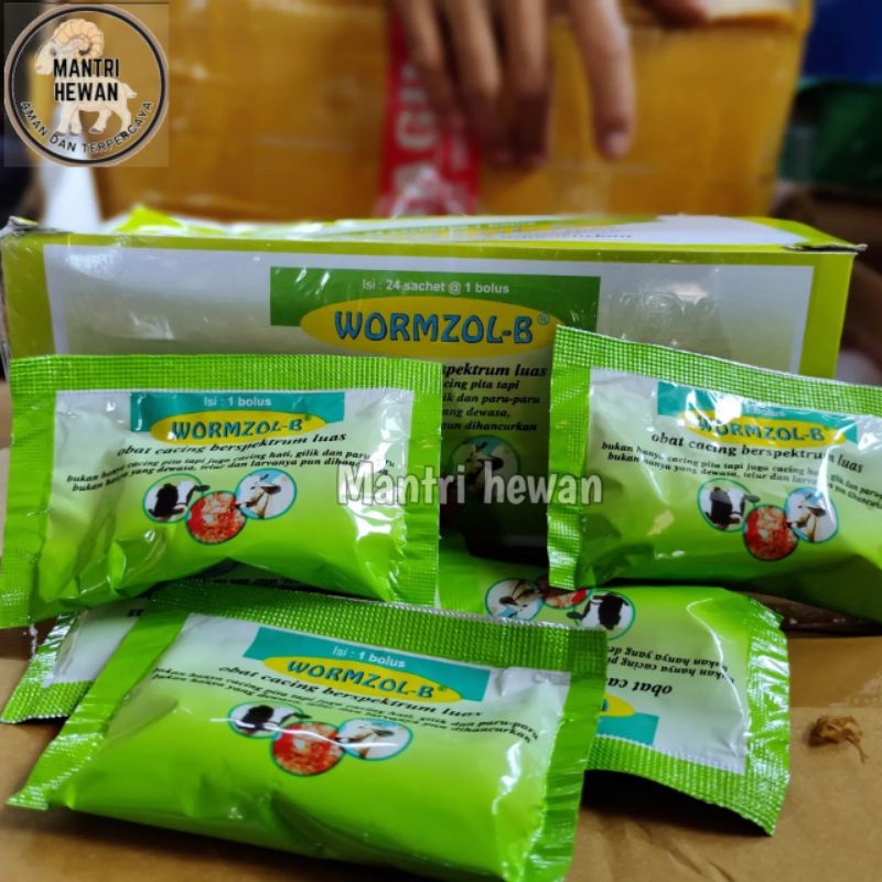 Jual Wormzol-B (1 Bolus) | Shopee Indonesia