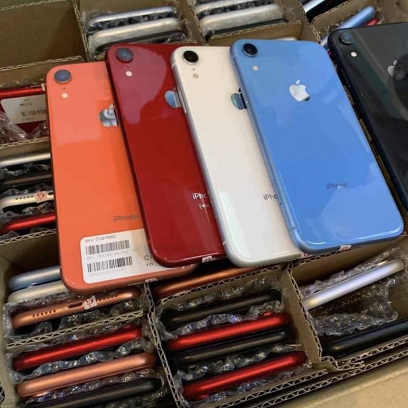Jual iPhone XR 64GB Second Original | Shopee Indonesia