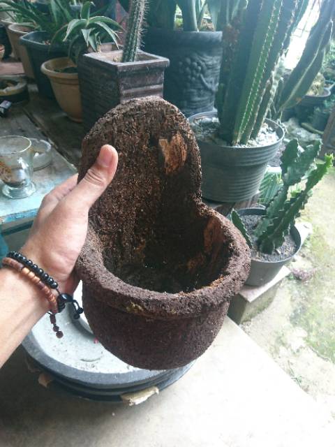 Jual Pot anggrek pot pakis pot galar pot antik | Shopee Indonesia