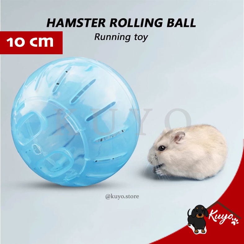 Jual Hamster Rotating Jogging Running Ball 10cm - Mainan Bola Hamster ...