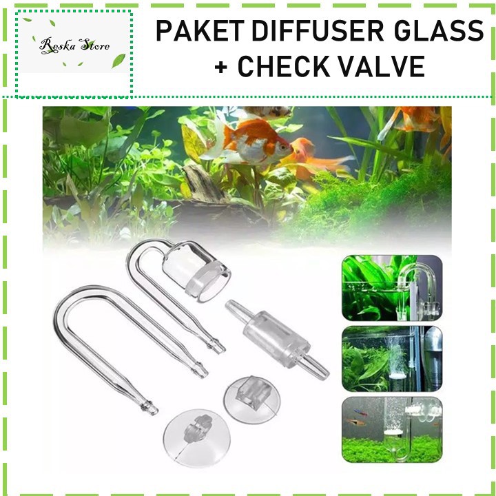 Jual Diffuser Glass + Check Valve full set R.S | Shopee Indonesia