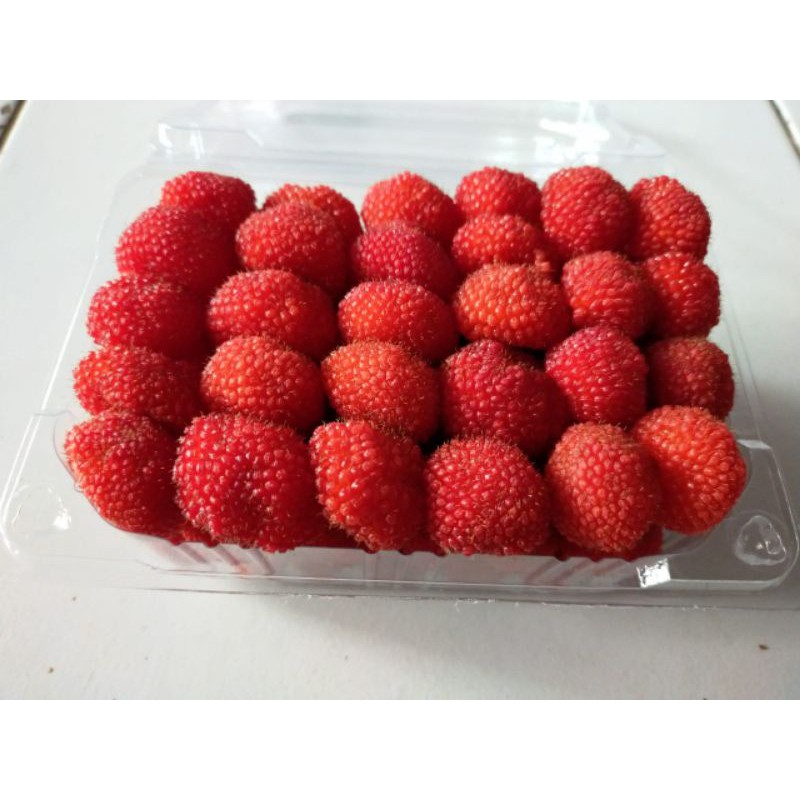 Jual Buah Raspberry Segar Fresh Oleh-oleh BANDUNG | Shopee Indonesia