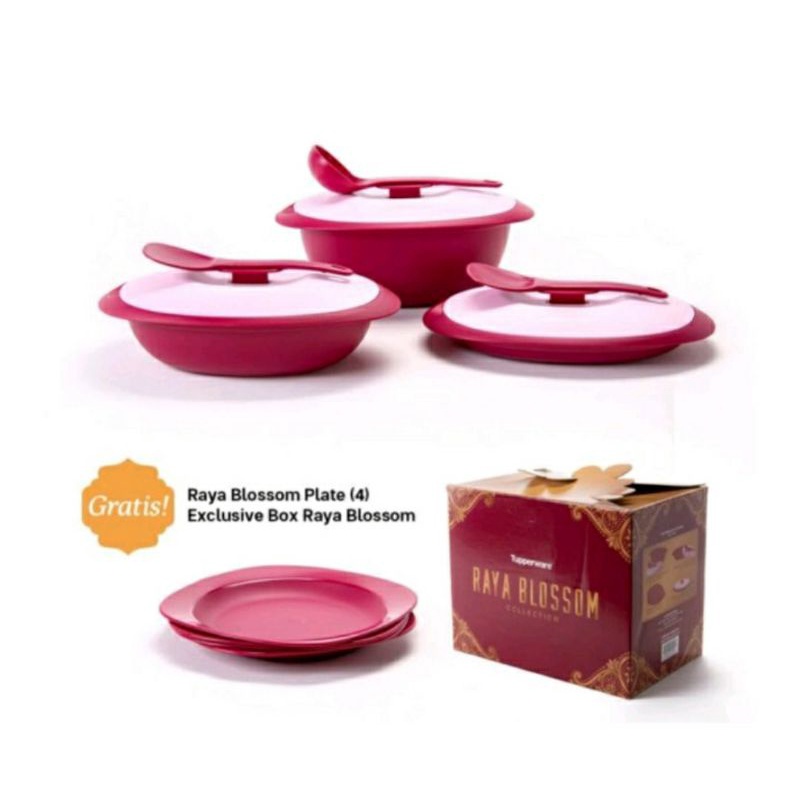 Jual raya blossom collection free plate PROMO spinning ORI | Shopee ...