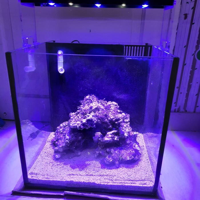 Jual Aquarium laut nano tank fullset Shopee Indonesia