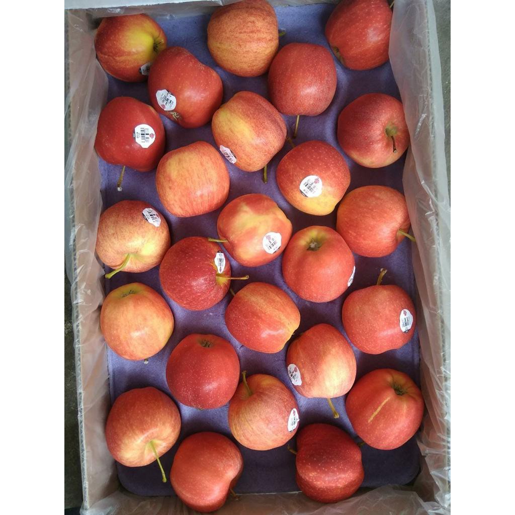 Jual Buah Apple GALA USA / Harga Per Kg | Shopee Indonesia