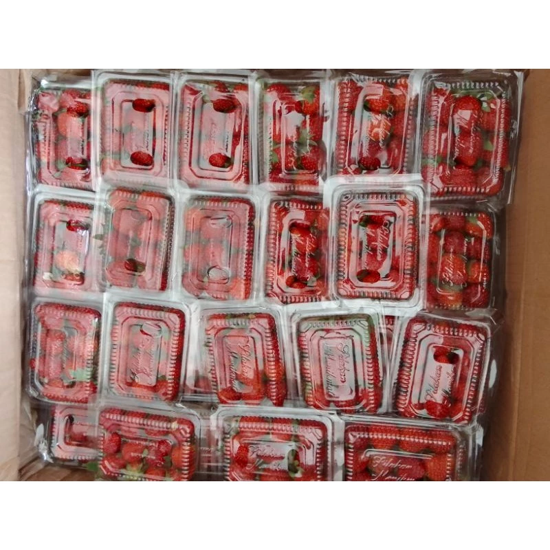 Jual Strawberry Surabaya