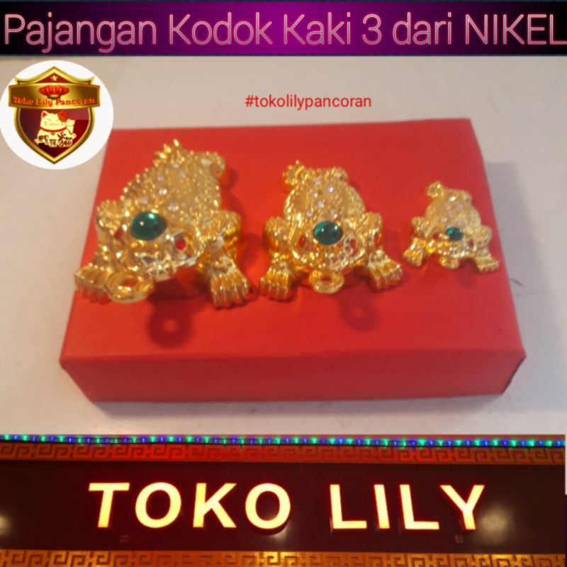Jual Pajangan PiXiu JinChan Kodok Rezeki Golden Toad Money Frog Pi Chiu ...
