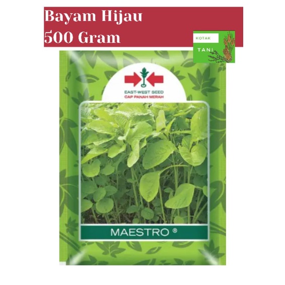 Jual 500 Gram Benih Bayam Hijau MAESTRO Kemasan Pabrik CAP PANAH MERAH ...