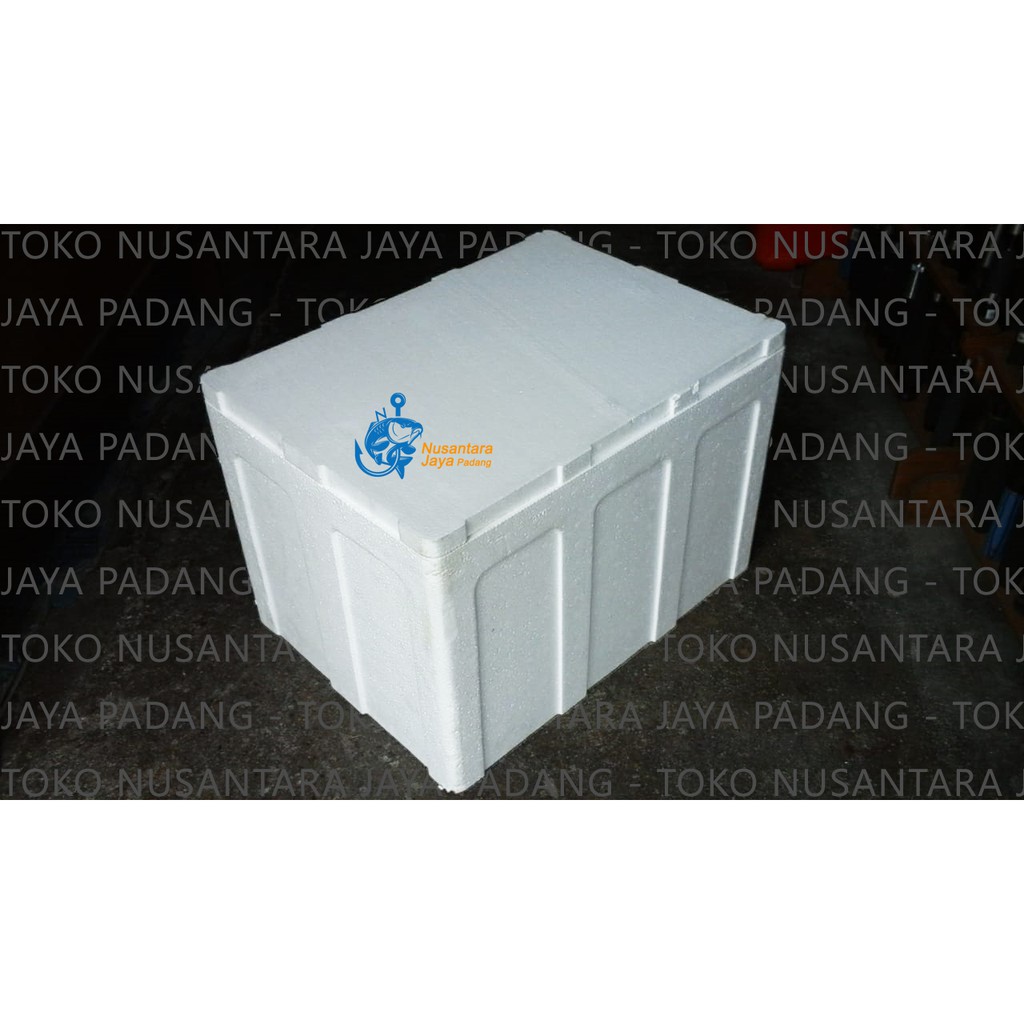 Jual Box Styrofoam Gabus 25 Kg Shopee Indonesia