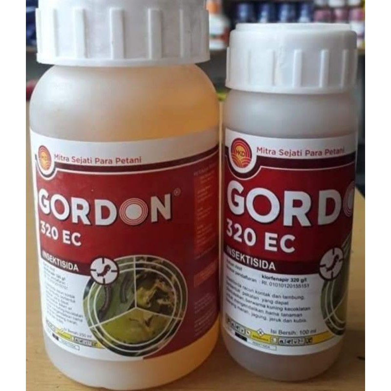 Jual Gordon Terlengkap & Harga Terbaru Juli 2026 | Shopee Indonesia