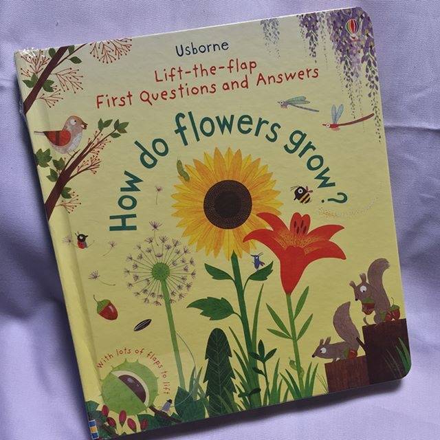 Jual BUKU ANAK IMPORT/ IMPORTED CHILDREN BOOK USBORNE LIFT THE FLAP BOOK HOW DO FLOWERS GROW