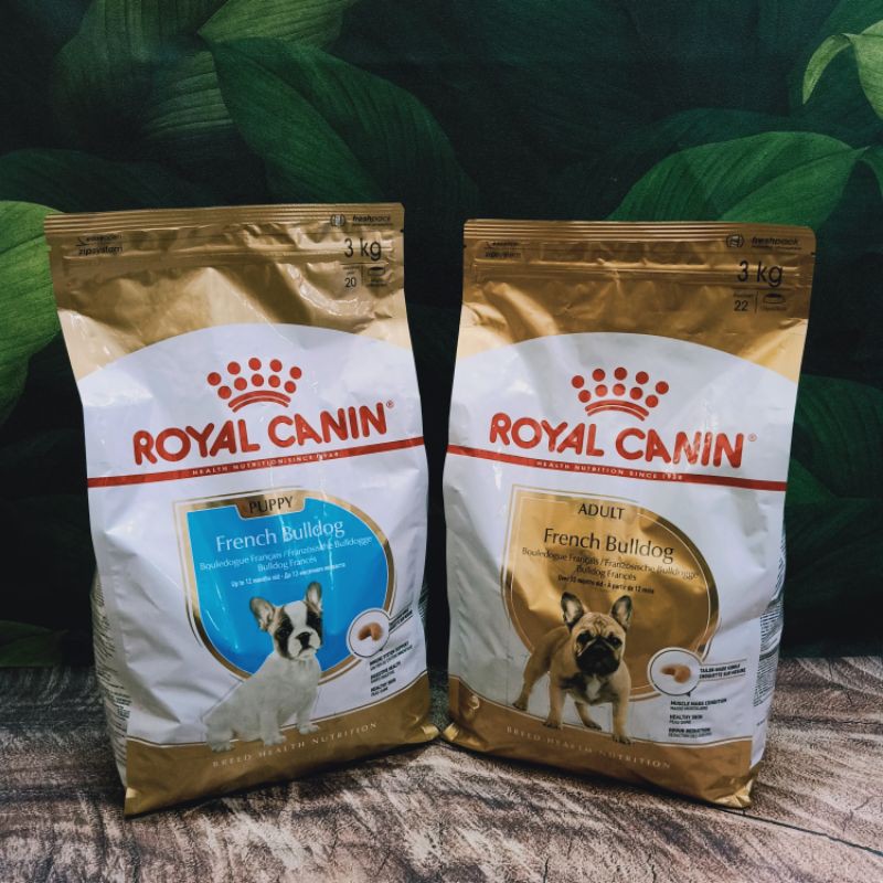 Jual Royal canin French Bulldog Puppy/Adult 3kg/RC makanan khusus buat ...