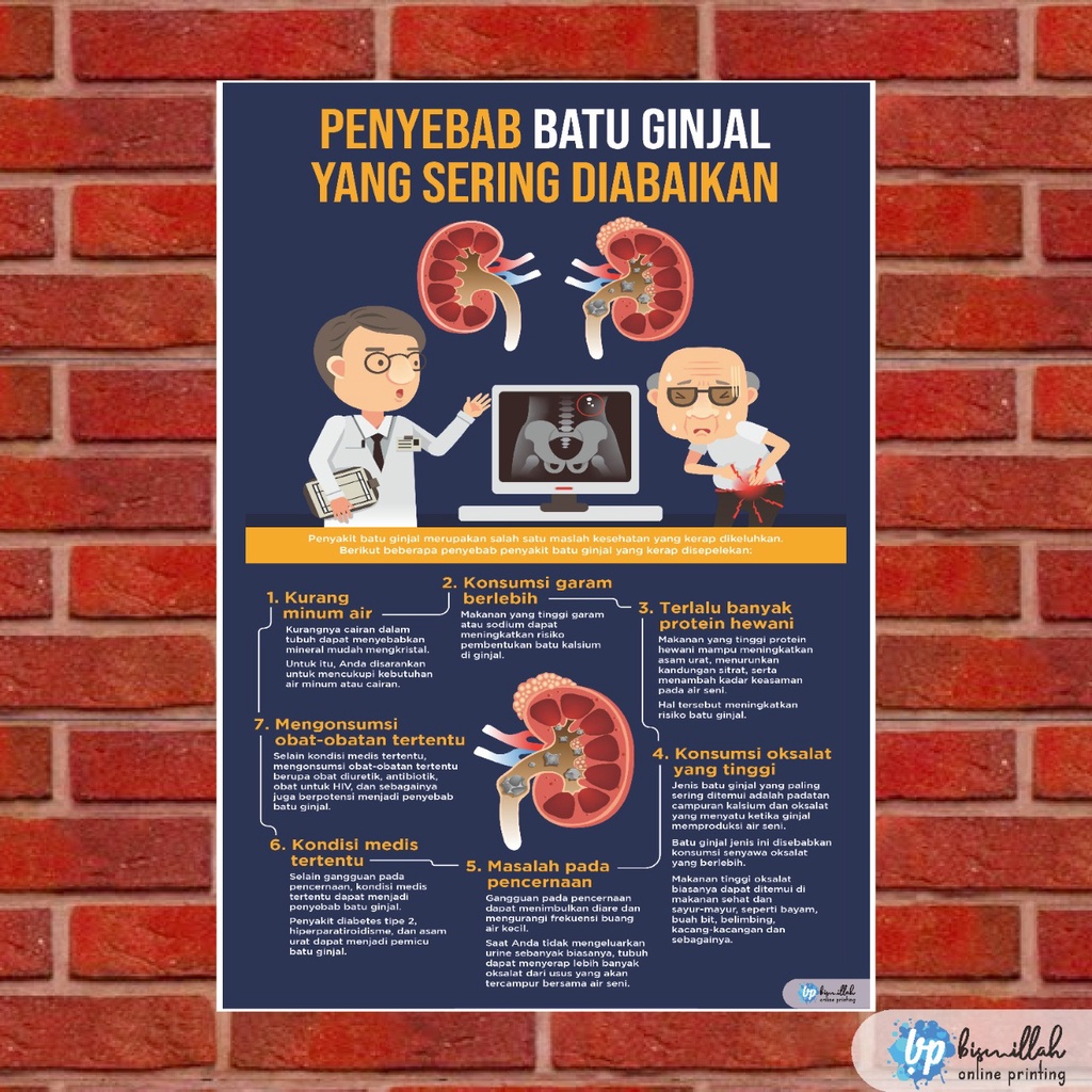 Jual Poster Penyebab Batu Ginjal Yang Sering Diabaikan Shopee Indonesia