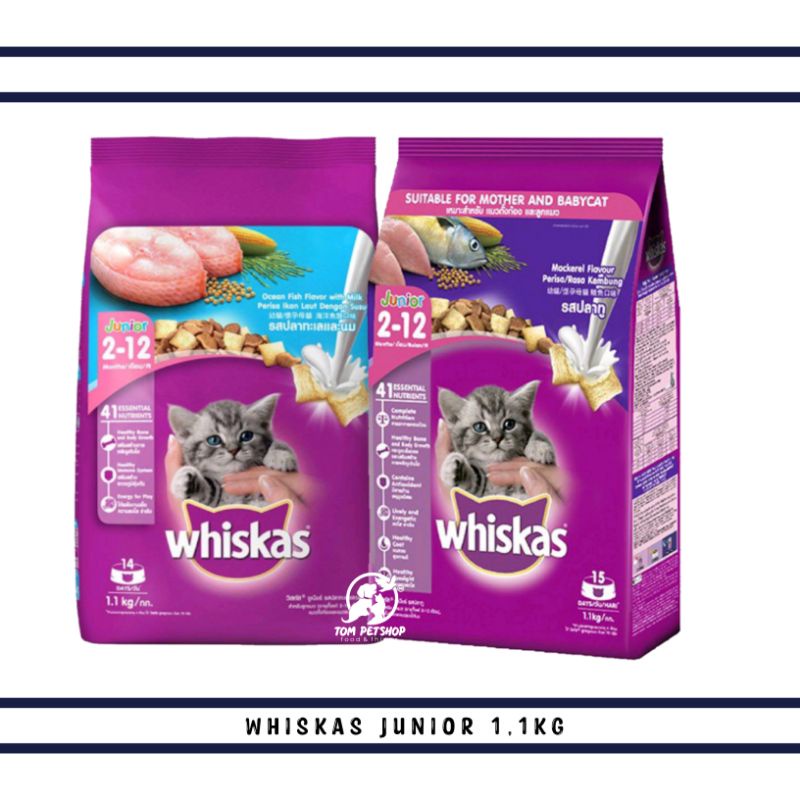 Jual Whiskas Junior 1,1Kg Shopee Indonesia