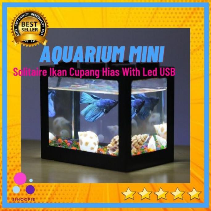 Jual Aquarium Mini Solitaire Led Ikan Cupang Hias | Shopee Indonesia