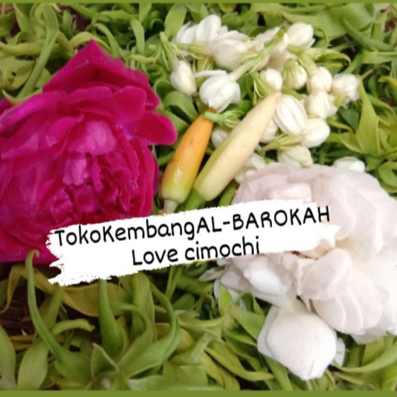 Jual kembang liman Bunga Setaman | Shopee Indonesia