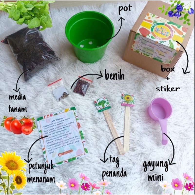 Paket Berkebun Belajar Menanam Sayuran Bunga DIY Grow Kit Souvenir Unik Hampers Ultah Anak Gift Box